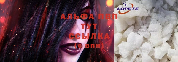 индика Богородицк