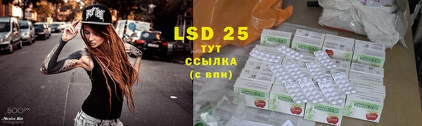 индика Богородицк