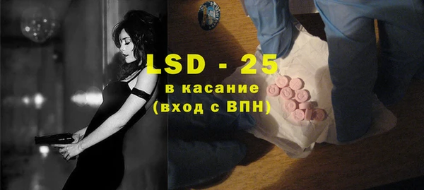 индика Богородицк