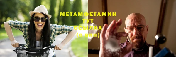 индика Богородицк