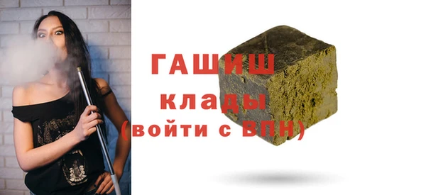 индика Богородицк