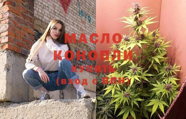 индика Богородицк