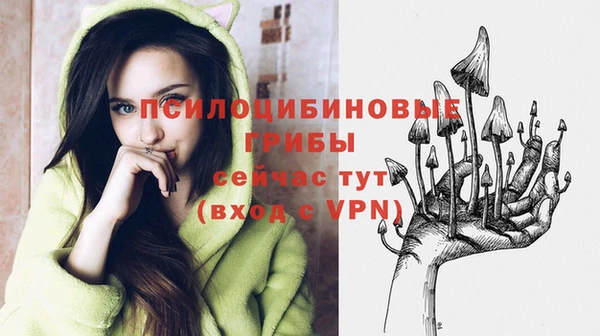 гашиш Богданович