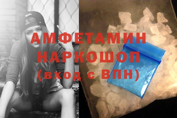 индика Богородицк