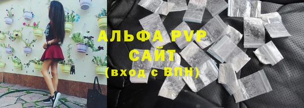 индика Богородицк