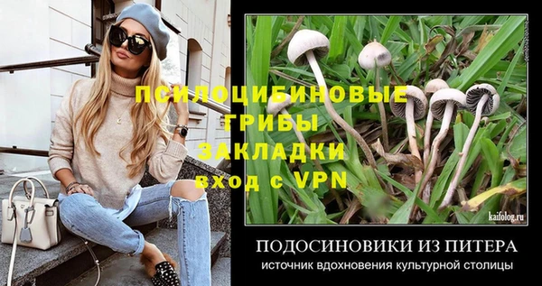 спиды Белокуриха